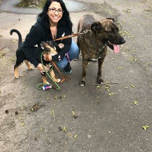 Meet your Posher, Alison